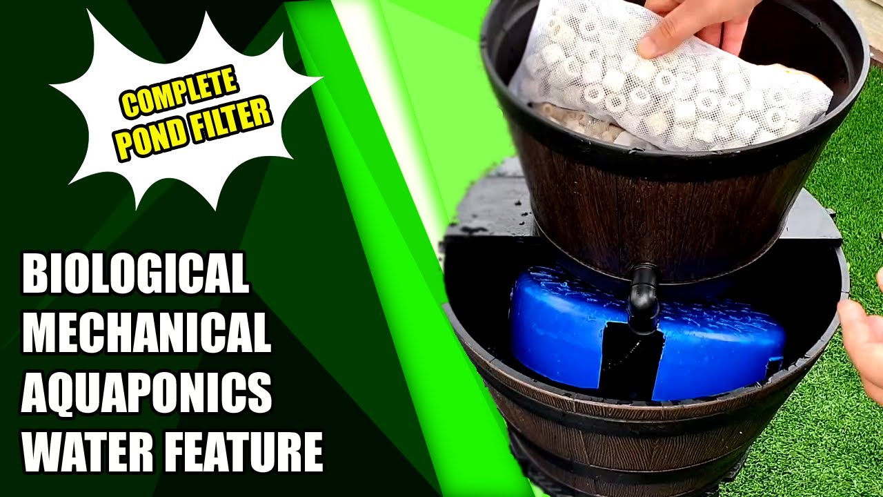 Build Mini Aquaponic Fish Pond Filter
