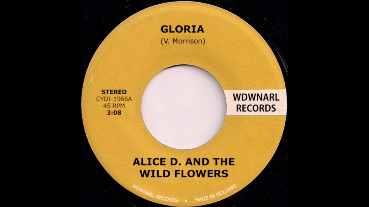 Alice D. And The Wild Flowers - Gloria