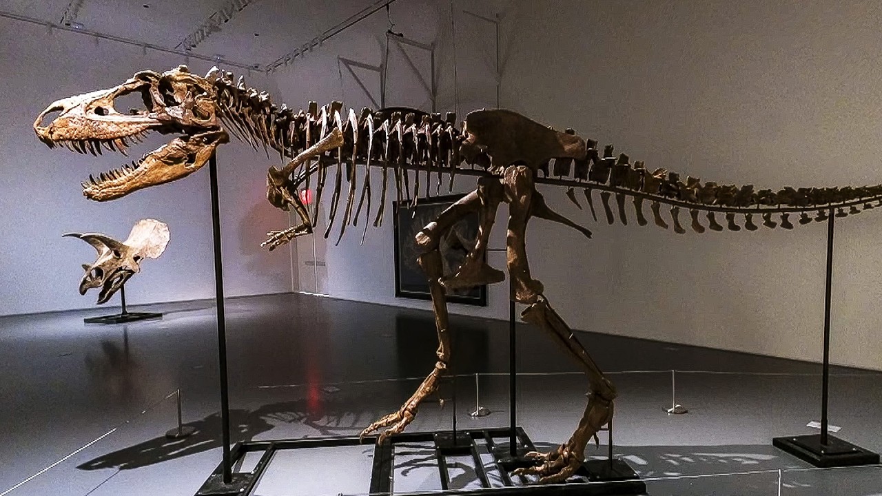 Unveiling Prehistoric Secrets: Dinosaurs & Meteorites (4K Documentary)