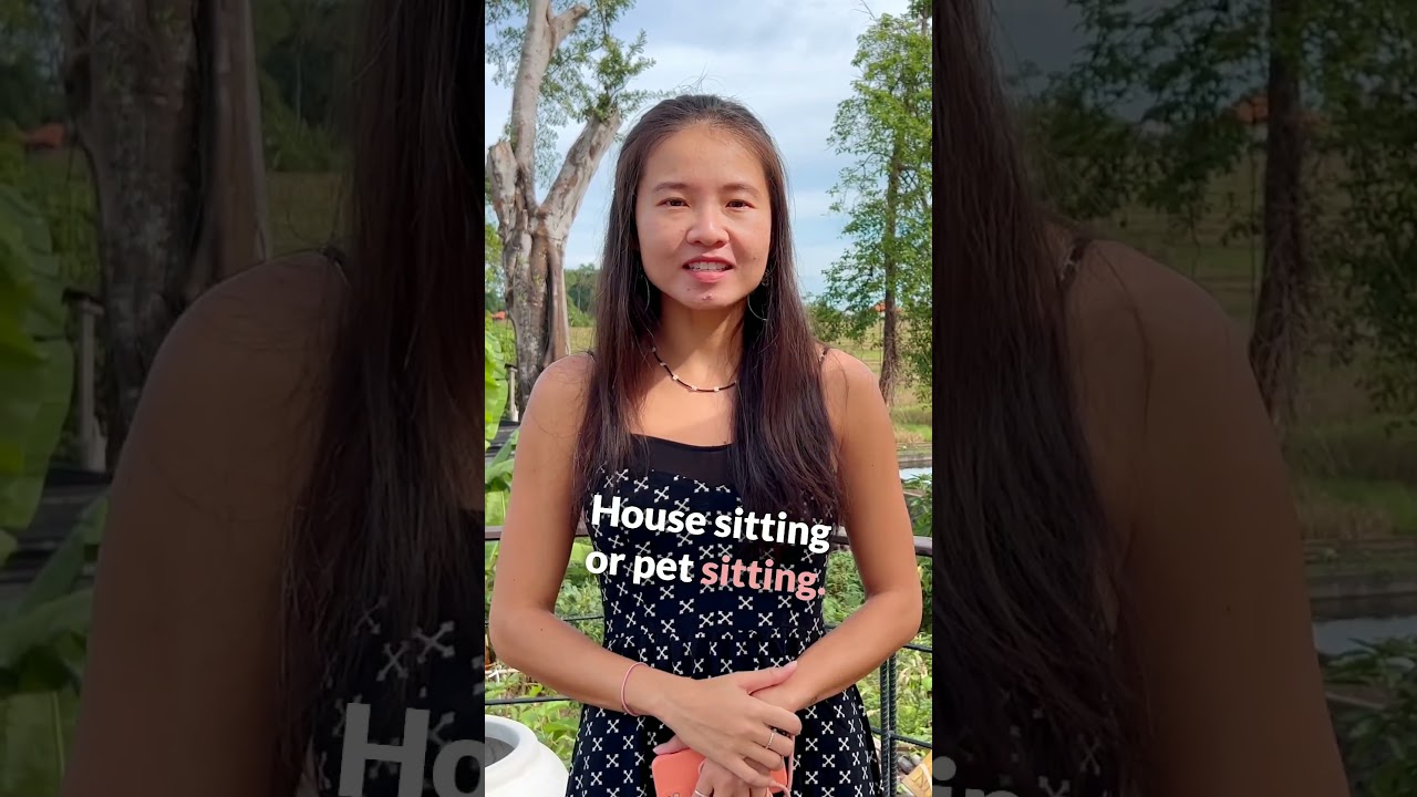 How I Travel For Free: House & Pet Sitting! #shorts #shortvideo #shortsyoutube