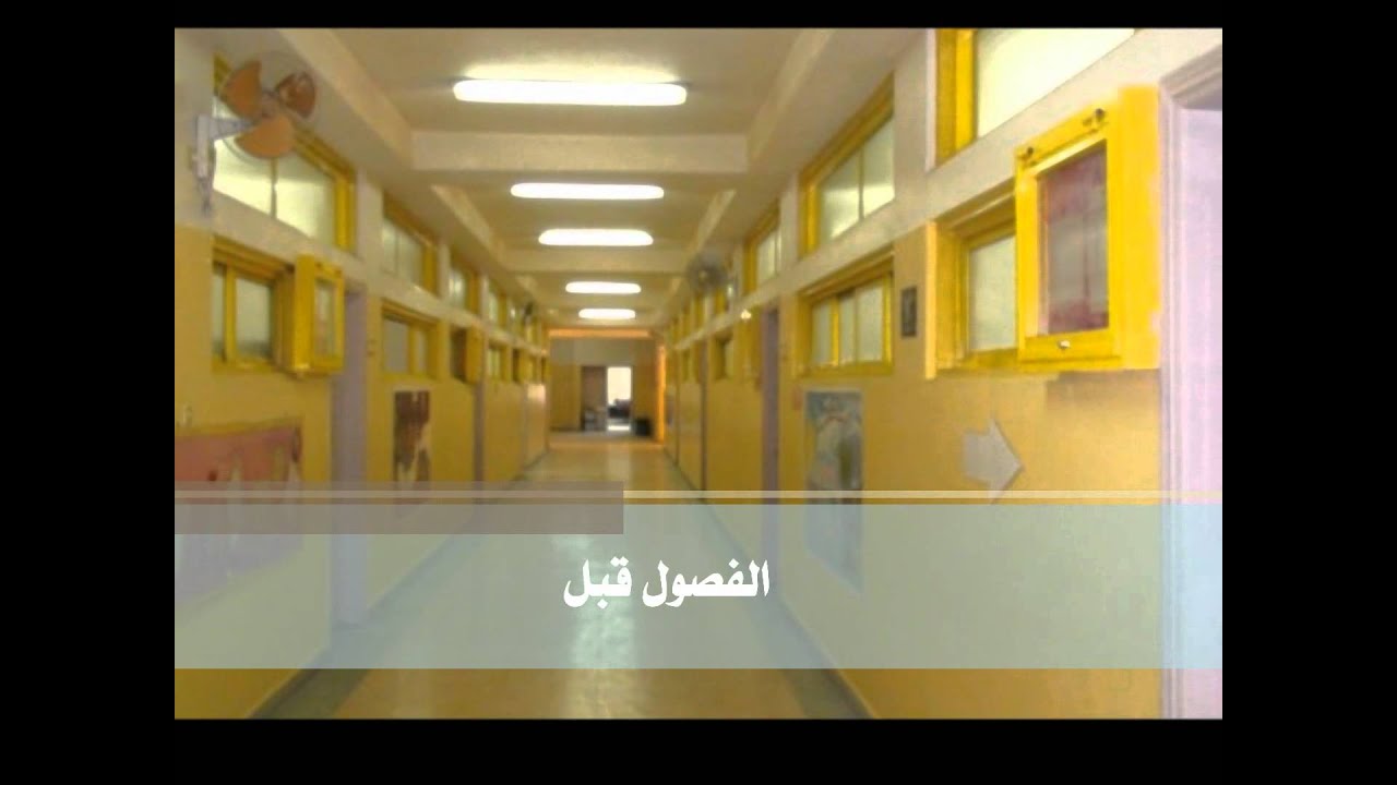 مدرستنا في تطور مستمر - الإبتدائية 203