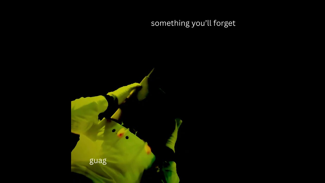 something you'll forget