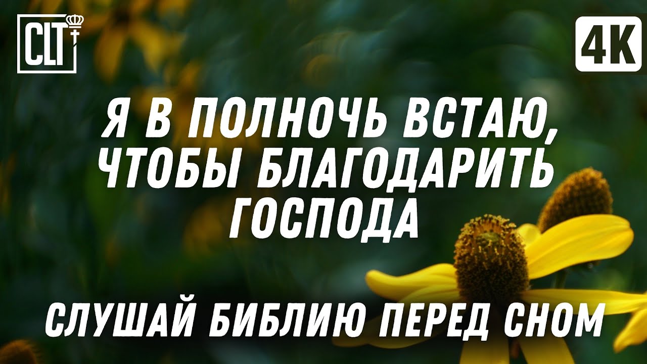 Покой в Божьем Слове: как найти утешение в трудные дни | Горное озеро | Водопад | Relaxing