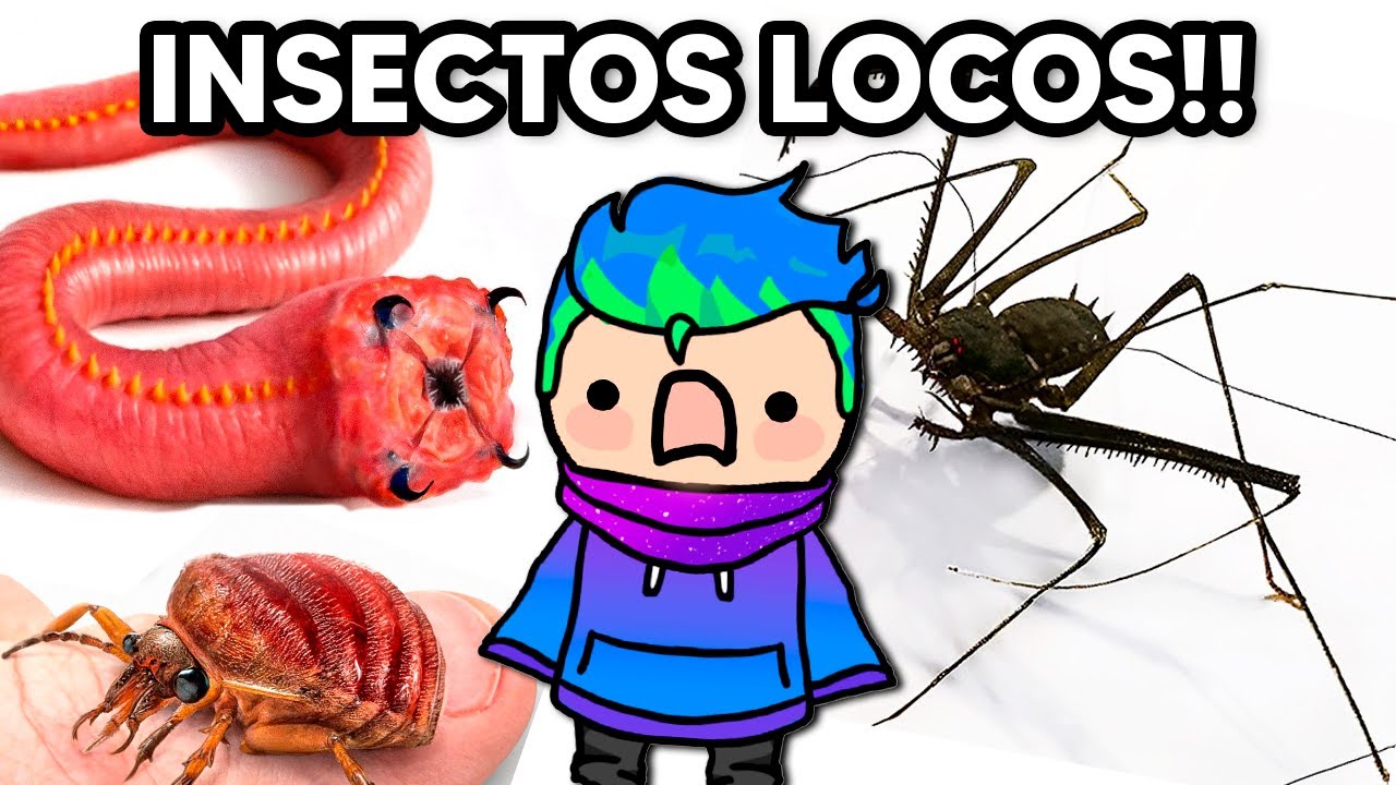 Consegui los INSECTOS mas LOCOS como MASCOTA🐜🦂🐞/ Carlos Infinito REACCIONA TerraVerde