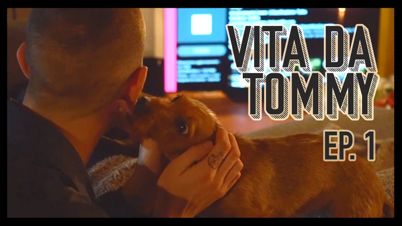 Spero che tu Scherza | Vita da Tommy | Ep. 1