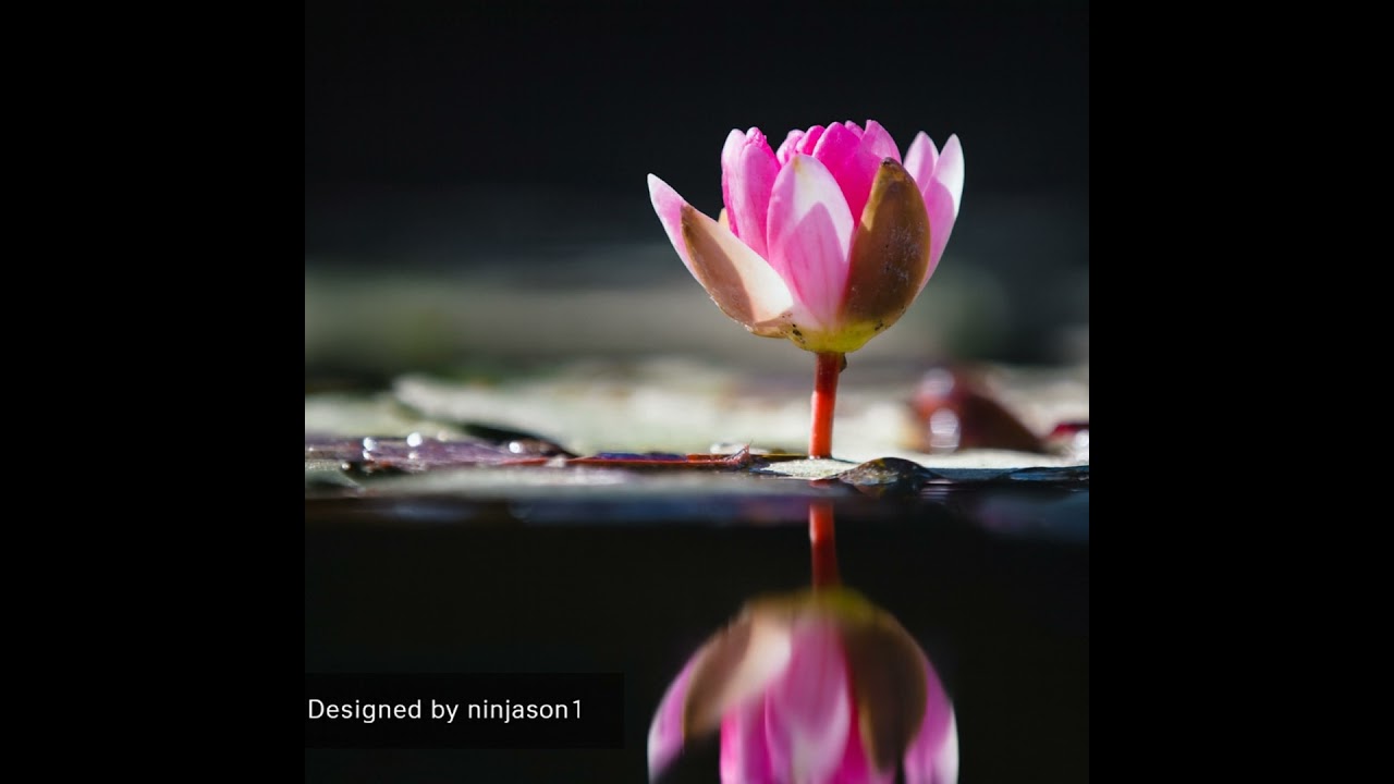 Heal from the Inside Out Series #32: Be Undisturbed by Noise Because As Long As People Have Tongu...
