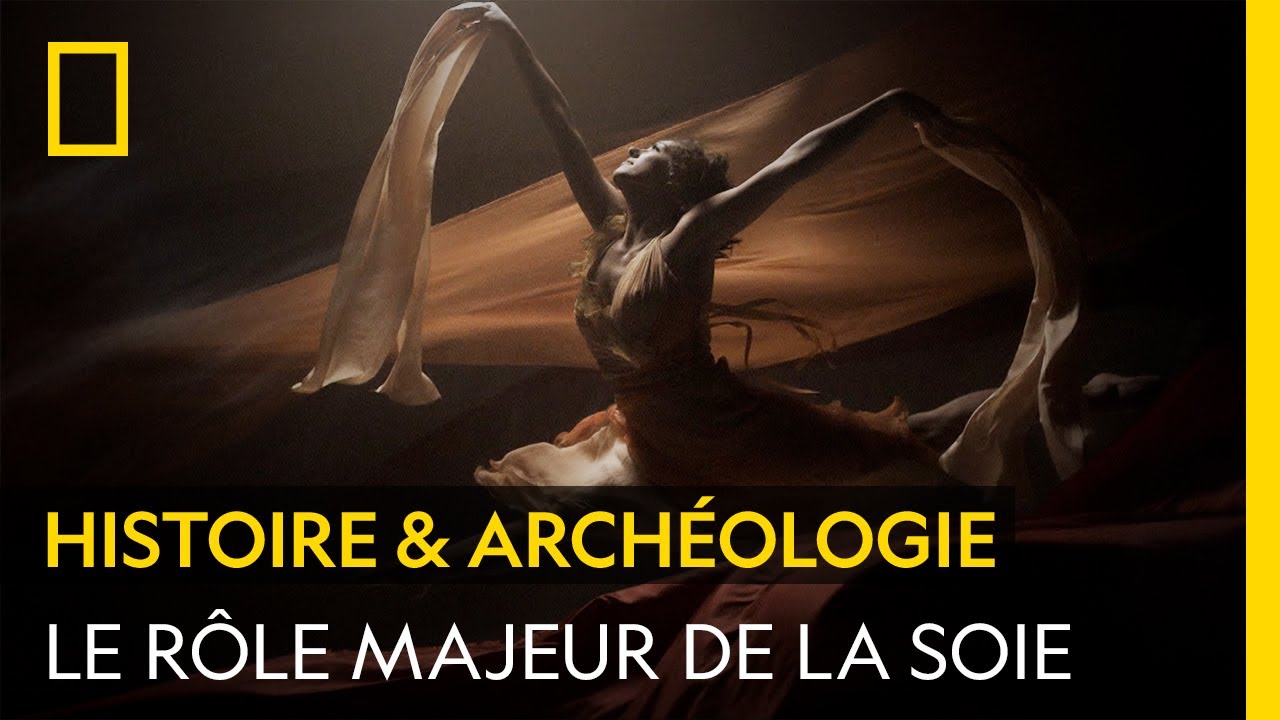 La soie a jou&eacute; un r&ocirc;le insoup&ccedil;onn&eacute; dans l'Histoire