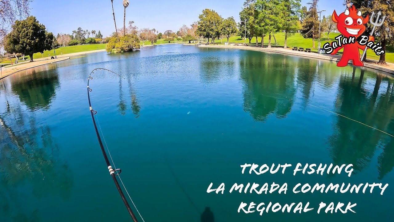 Trout Fishing La Mirada Community Regional Park