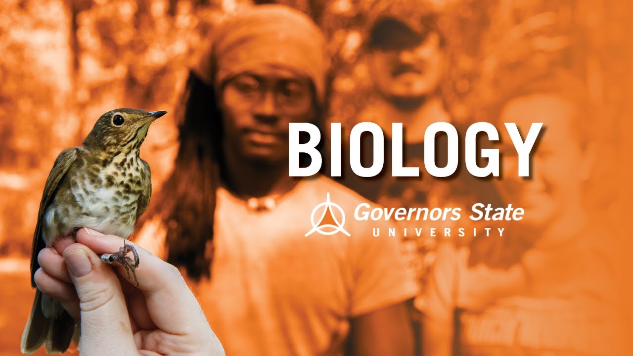 Master of Science in Biology