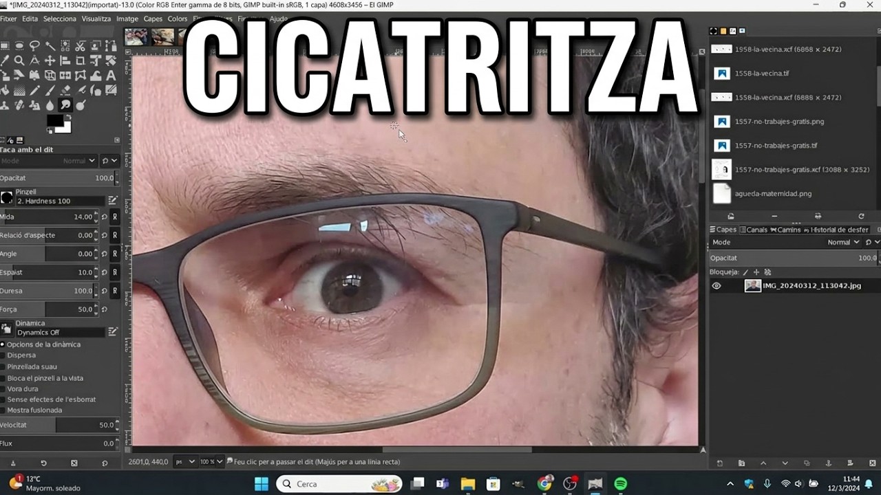 Com eliminar imperfeccions d'una imatge amb les eines d'emborronar i cicatritzar del Gimp