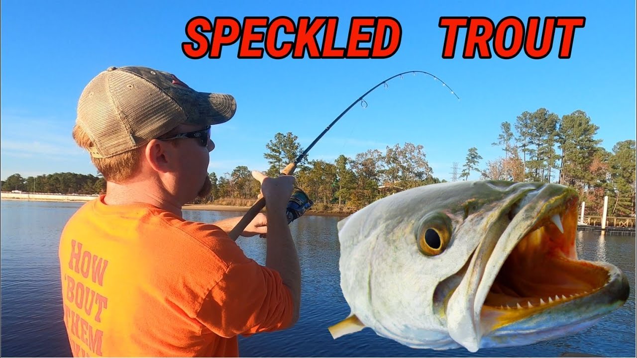 Speckled Trout Fishing With LIVE BAIT - Virginia (Elizabeth River)