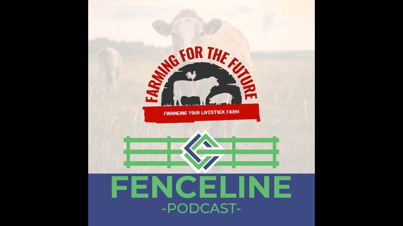Financing your Livestock Farm