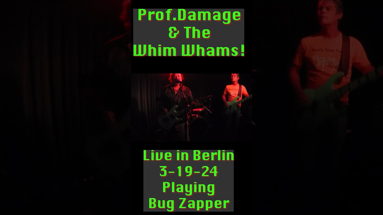 Bug Zapper Berlin Live Prof Damage &the Whim Whams #shortsvideo #punk #rock #garagerock #metal