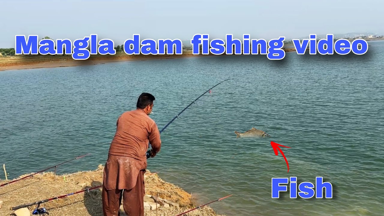 Fishing video | big fish | mangla dam