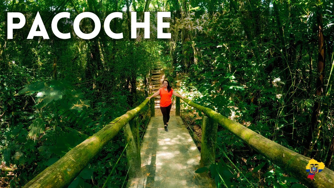 Incredible Reserve Near Manta 🌴🦜🐒 | Pacoche Ecuador