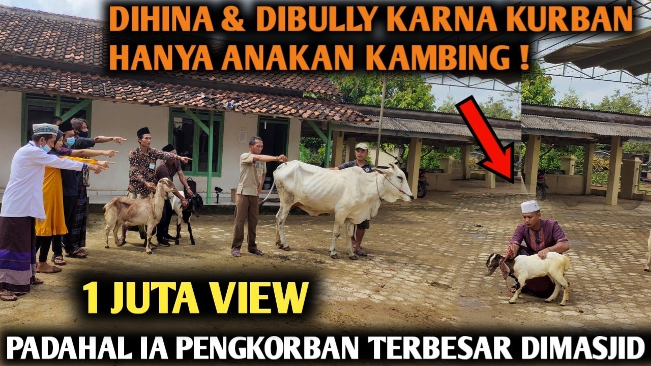 DIHINA & DIBULLY KARNA KURBAN HANYA ANAKAN KAMBING, PADAHAL IA PENGKURBAN SAPI TERBESAR DISITU ‼️