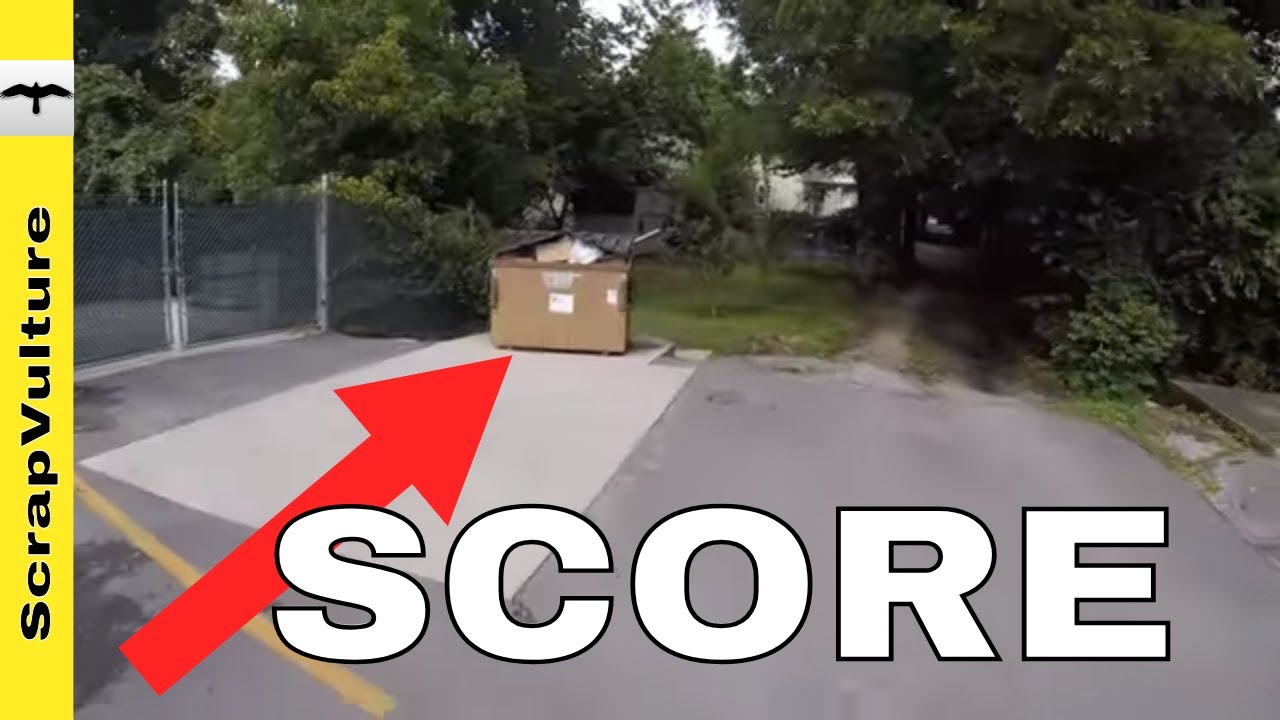IN & OUT GET IT & GO DUMPSTER DIVING - HOW MUCH MONEY DO FREEGANS MAKE??
