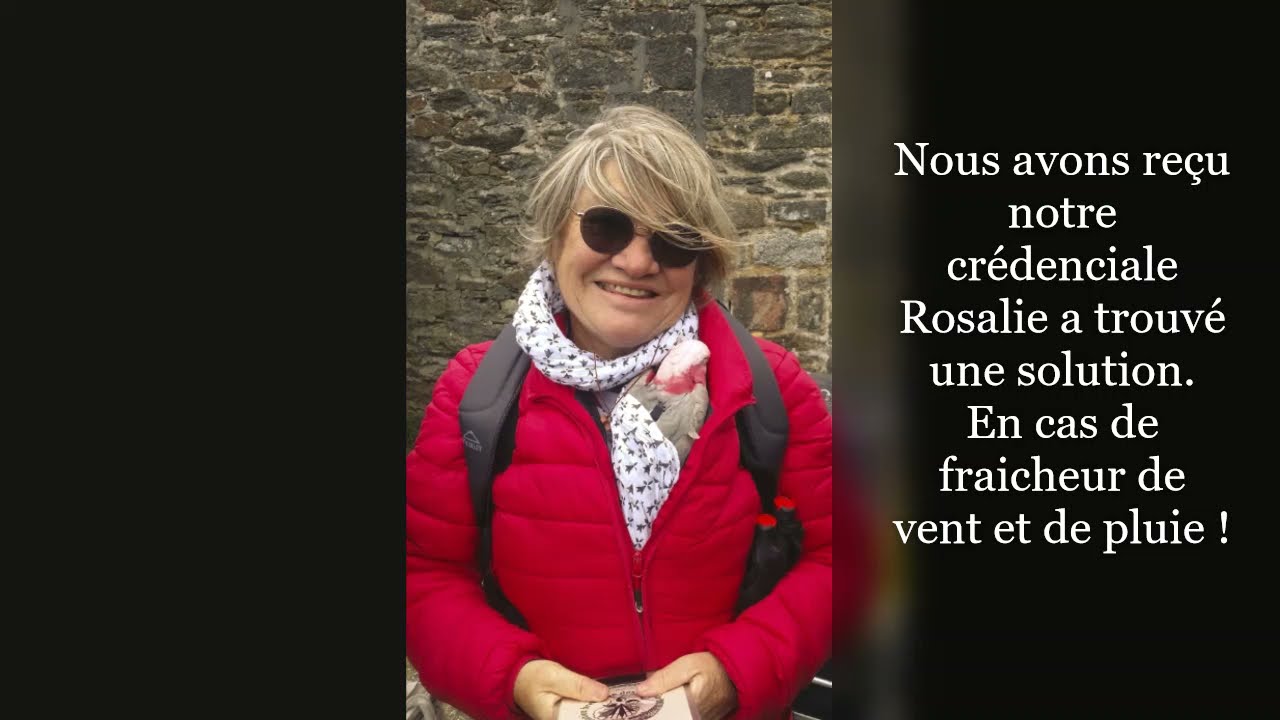 CHEMIN COMPOSTELLE 2021