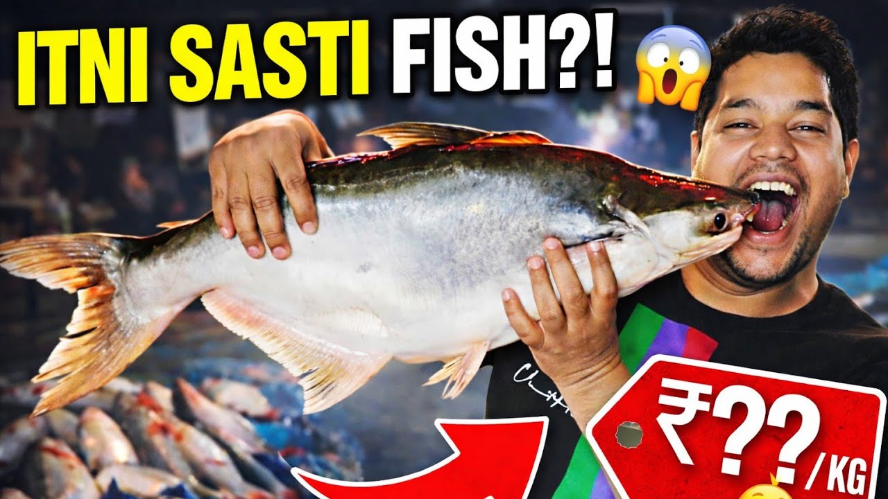 Hastinapur Ki Fish Market🐟 Yahan Fish Itni Sasti?! 😱 #fishvlog #meerut #hastinapurfishmarket #viral 