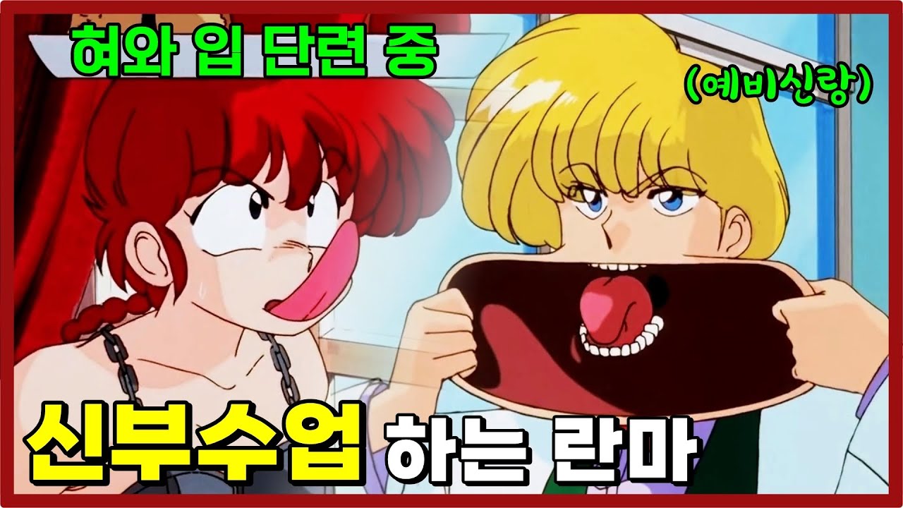 세상에서 제일 해괴한 격투종목 [란마 4부] - 이누야샤 작가의 러브 코미디