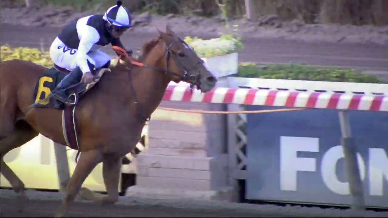 17a. Carrera Hándicap, Índice: 22 al 17, 3ra. Serie, 1.200 Mts.