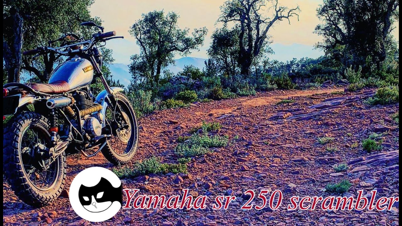 yamaha sr 250 scrambler #3