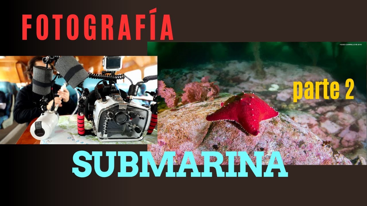 FOTOGRAFIA SUBMARINA EN LA PATAGONIA PARTE 2: la aventura no termina