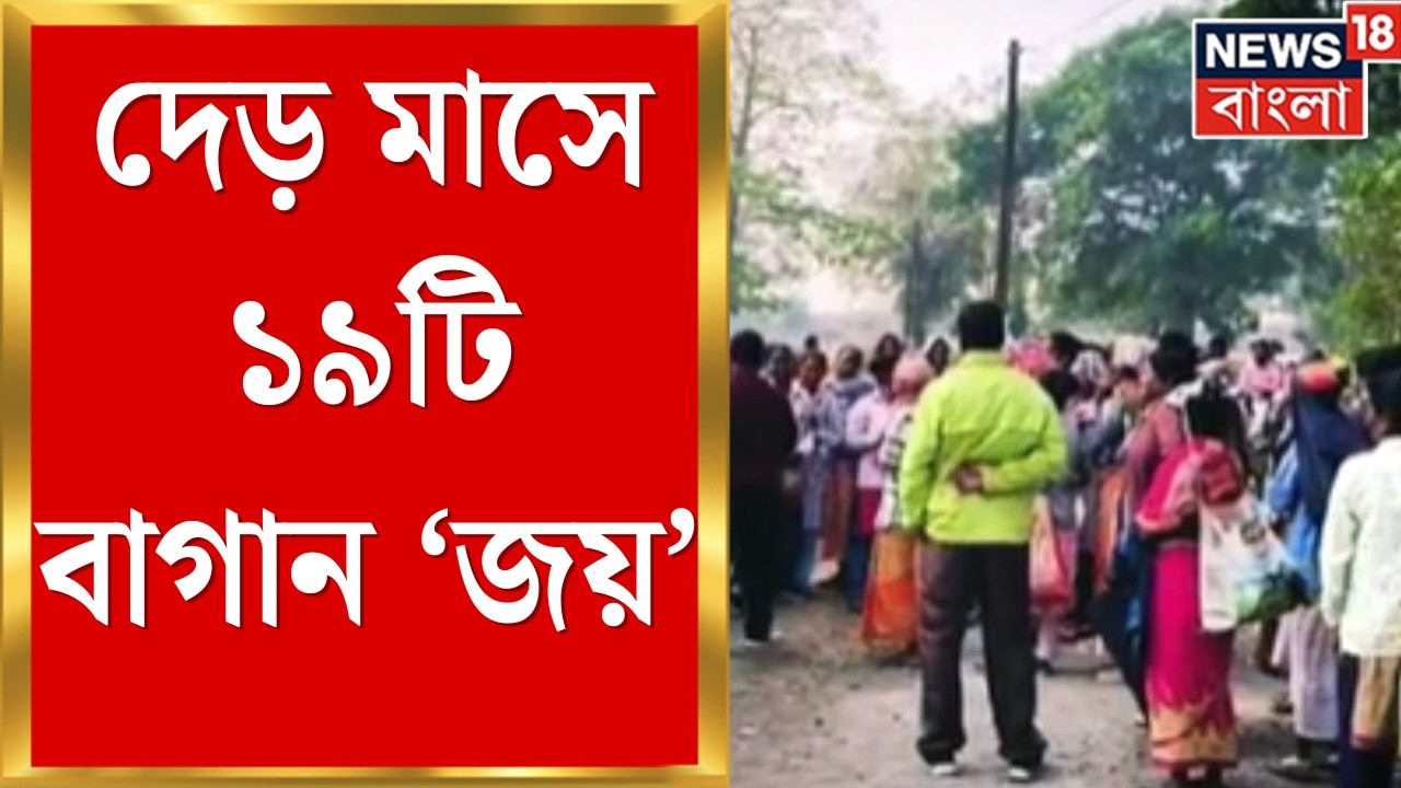Tea Garden News | উত্তরবঙ্গে খুশির হাওয়া! গত দেড় মাসে খুলল ১৯টি বন্ধ চা বাগান | Bangla News