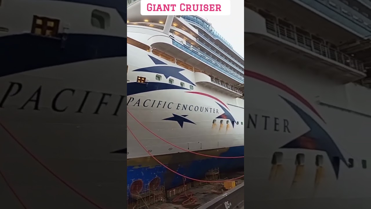 Giant Cruise Ship In Dry Dock For Repairing | Cruise Workers | #shorts | #ytshorts | #shortvideo