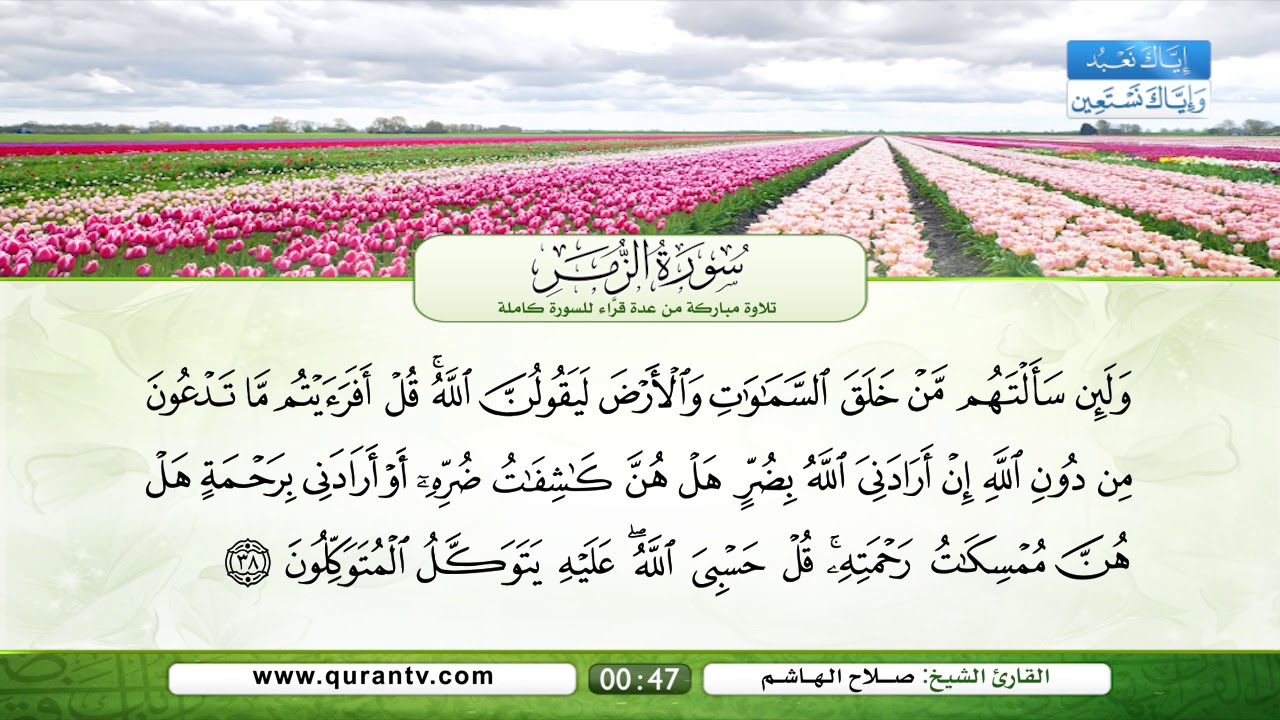 سورة الزمر | سعد الغامدي | فؤاد الخامري | عبد الله بصفر | نبيل الرفاعي | صلاح الهاشم | يحي حوى