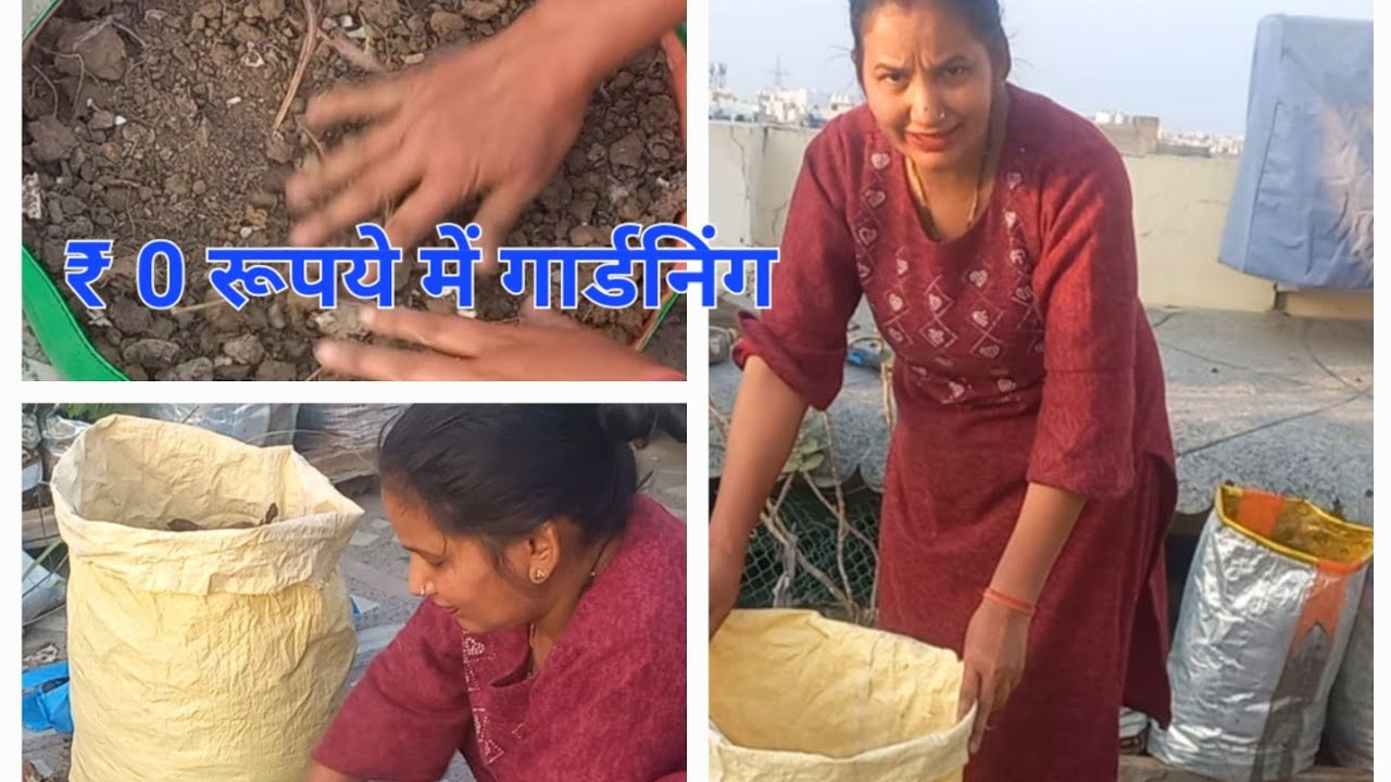 बिना एक भी रूपया खर्च  किए  शुरू करे अपना किचन गार्डन  ,/zero cost Gardening #terrecegarden