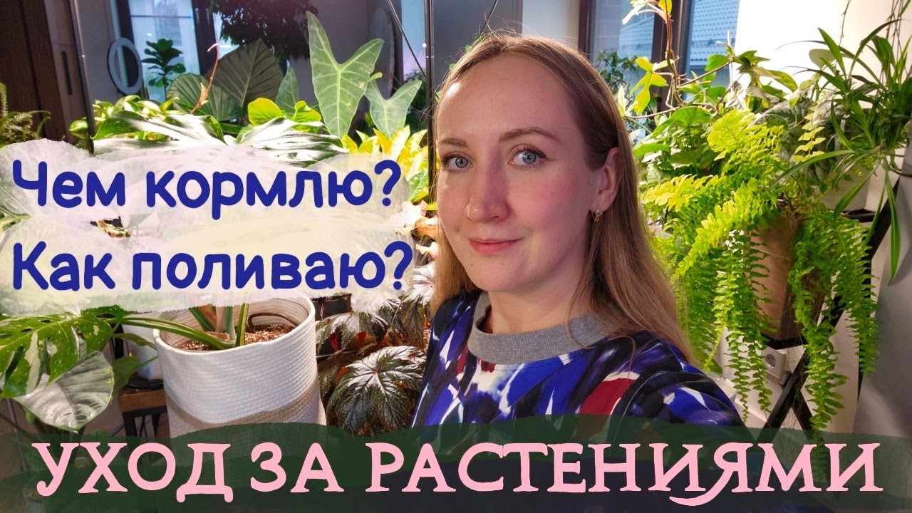 Мой УХОД ЗА РАСТЕНИЯМИ  |  Чем кормлю? Как поливаю? Как укореняю? ВСЁ-ВСЁ об уходе