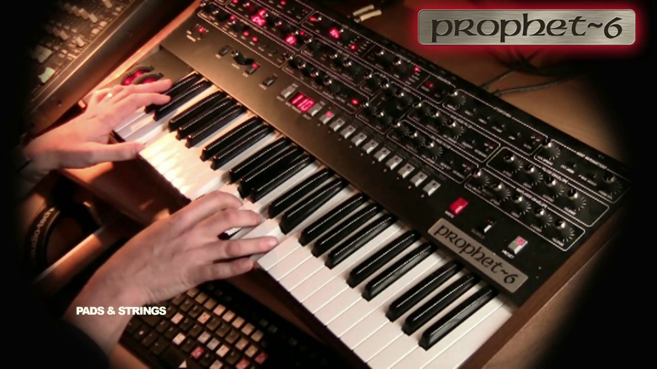 Prophet 6