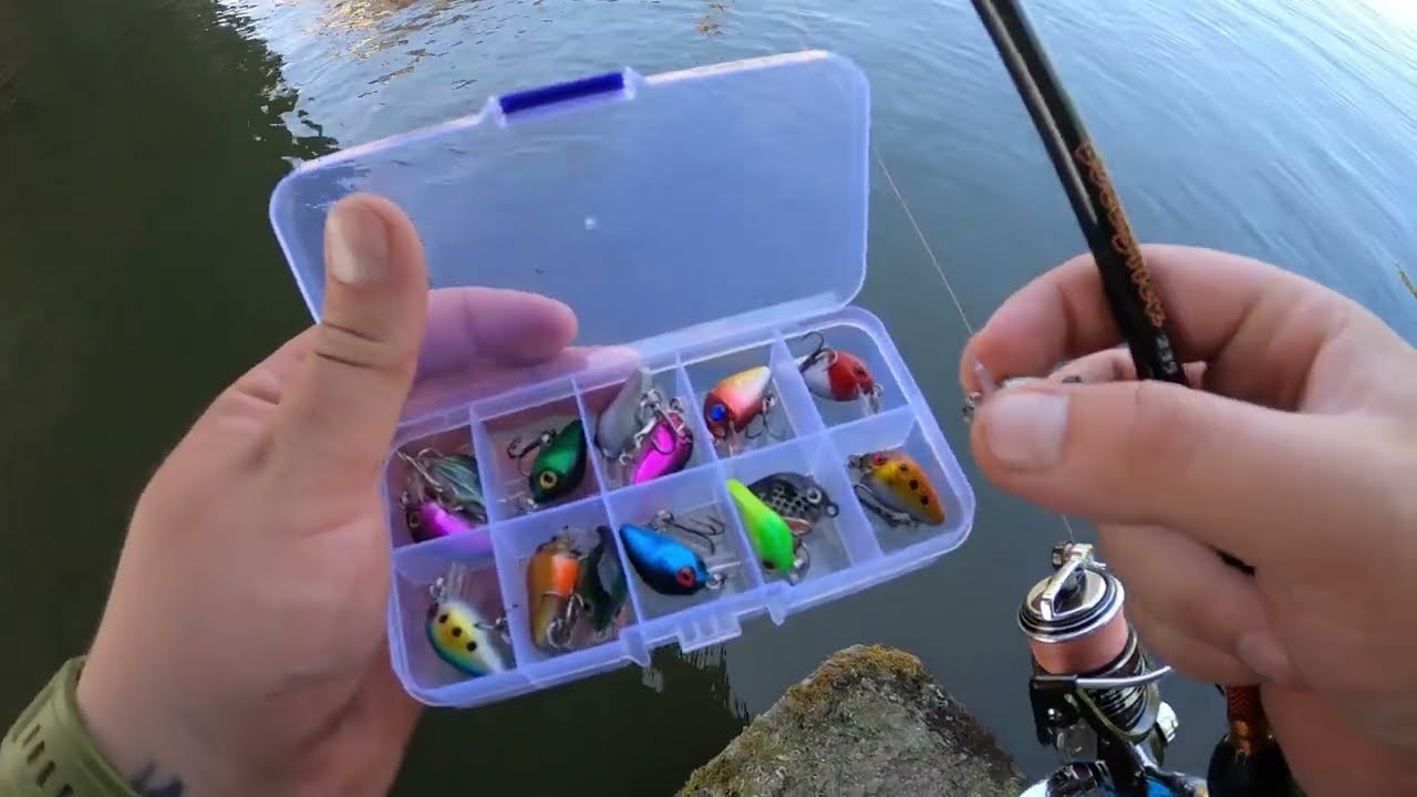 Bega m-a testat la maxim! Cleanul a fost șeful azi #PescuitLaClean #RâulBega #CleanRomania #pescuit