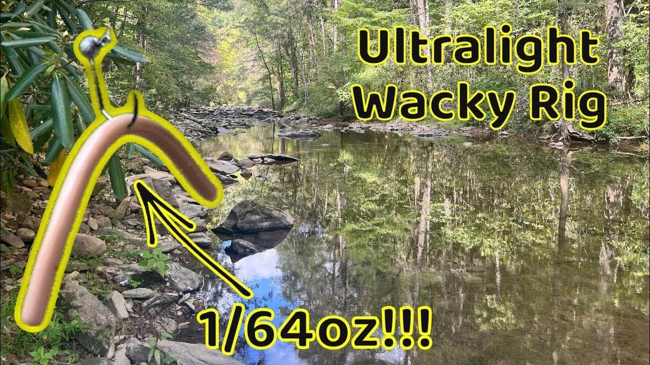 Bass CAN’T pass this up!! ULTRALIGHT Wacky Rig