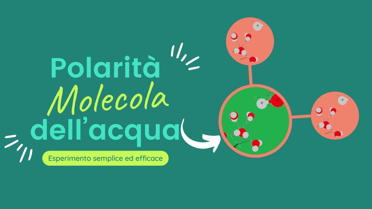 Polarit&agrave; della molecola acqua: esperimento