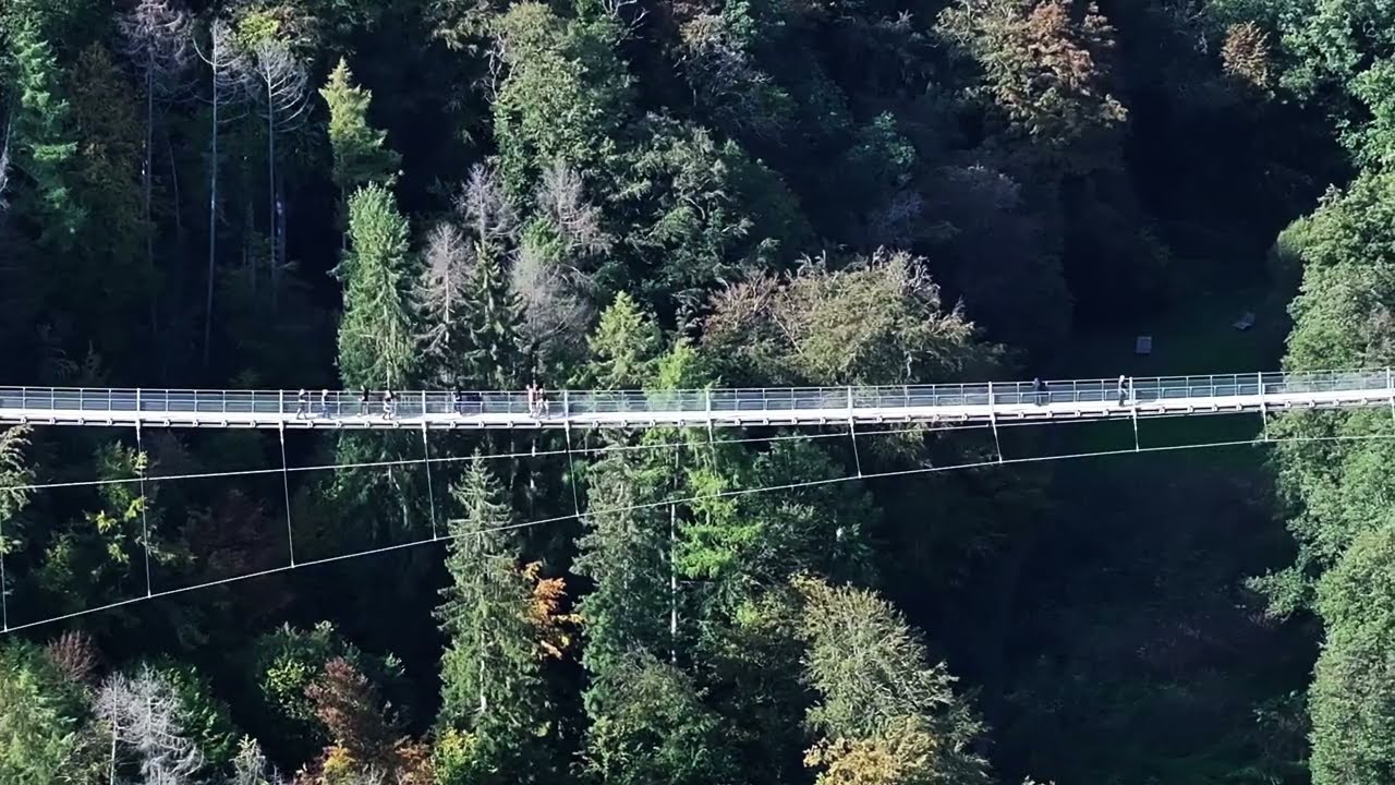 Geierlay H&auml;ngeseilbr&uuml;cke in Rheinland-Pfalz - Eine Attraktion f&uuml;r Besucher