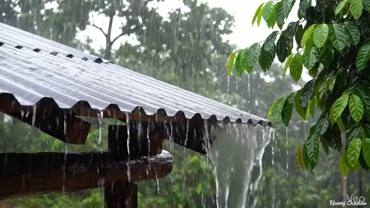 LIVE NOW ASMR Hujan Jepang  • Cozy Night Lantern  Study   LIVE ASMR  Japanese Wooden House Rain • Ca