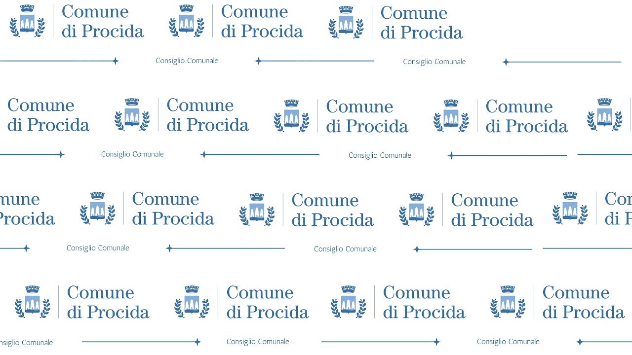 Consiglio comunale   18 marzo 2025