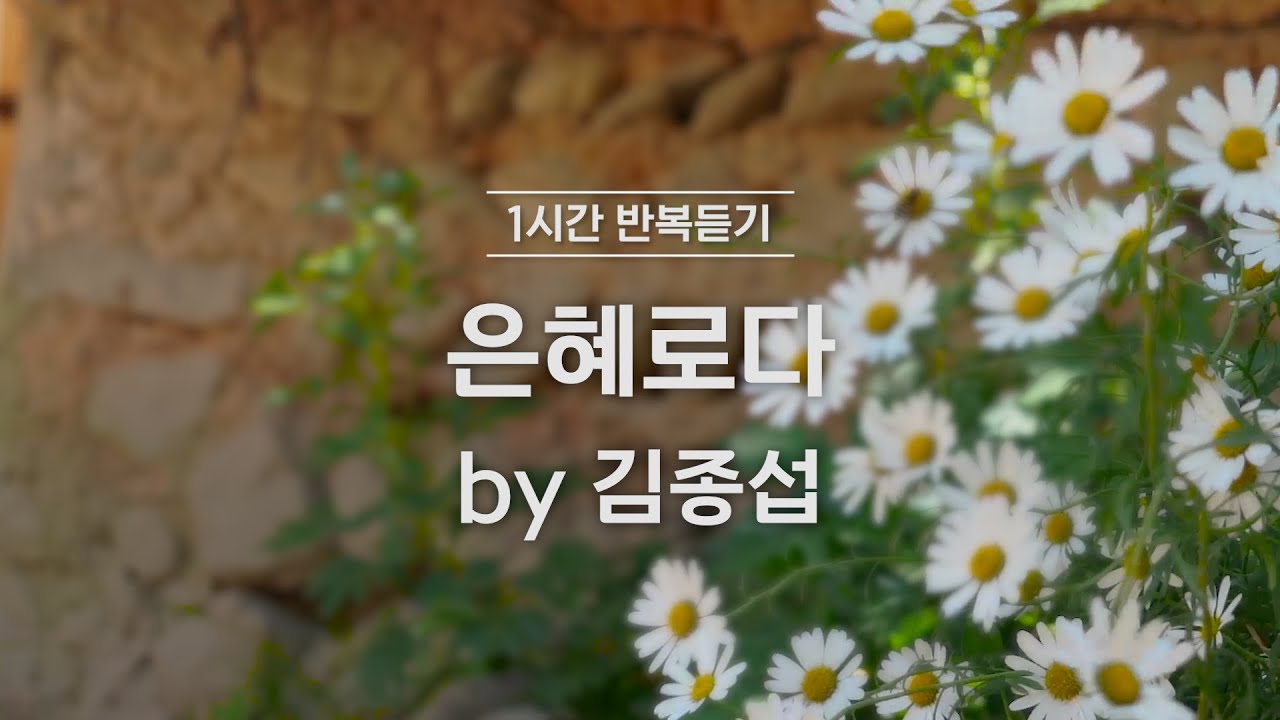 [1시간반복 듣기] 은혜로다 by 김종섭