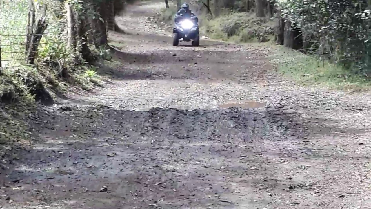 Atv 250