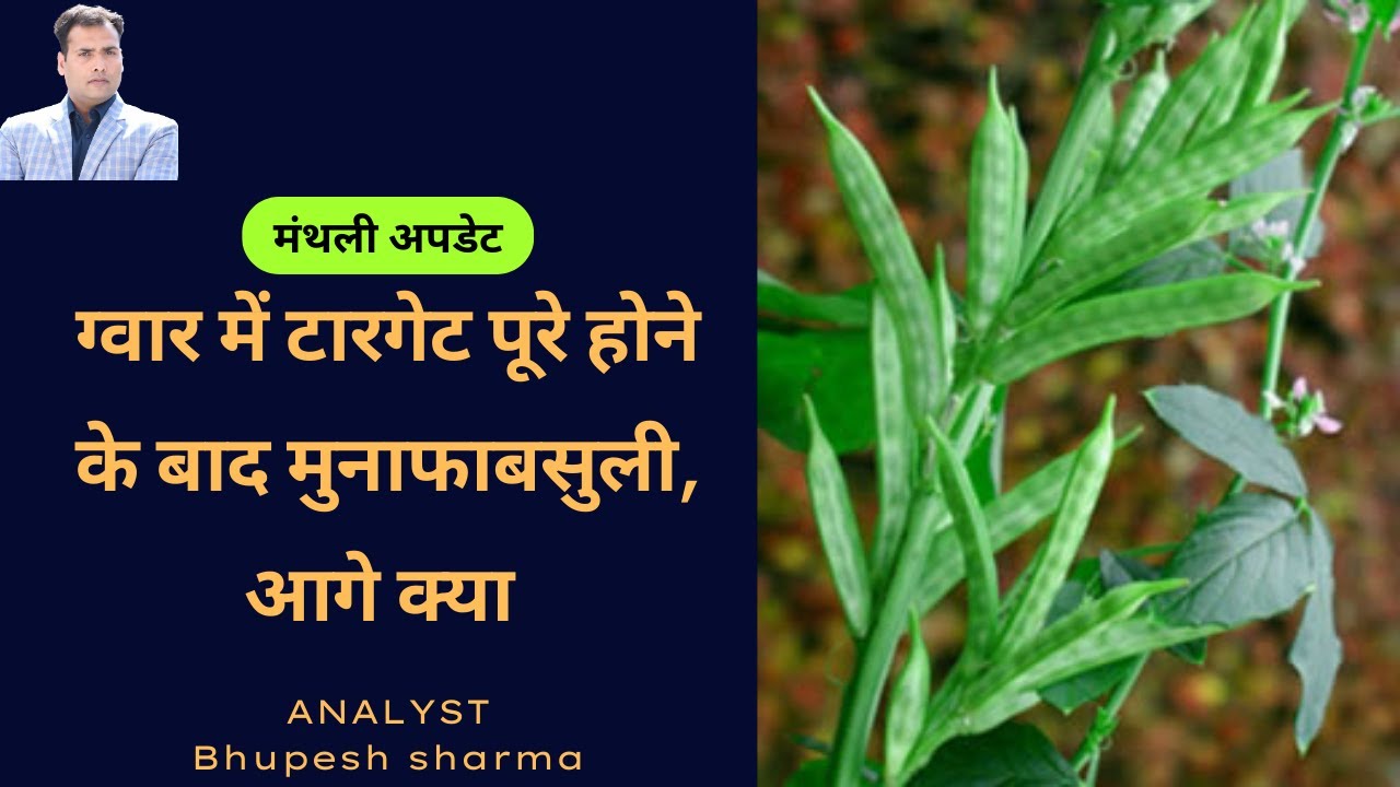 Guar Seed Price Forecast ,जबरदस्त उठापटक जारी, आगे क्या |#guarseed #guargum