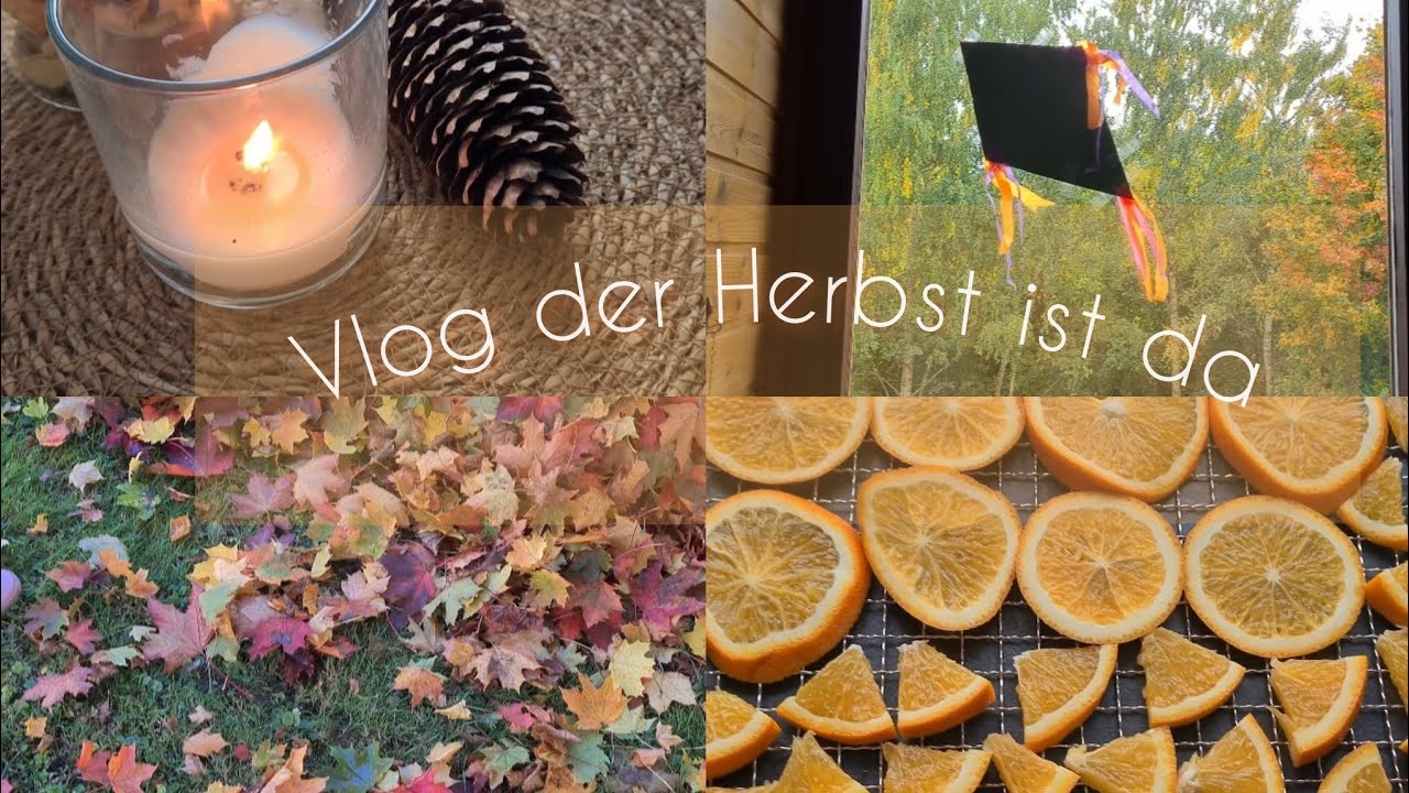 VLOG Der Herbst ist angekommen