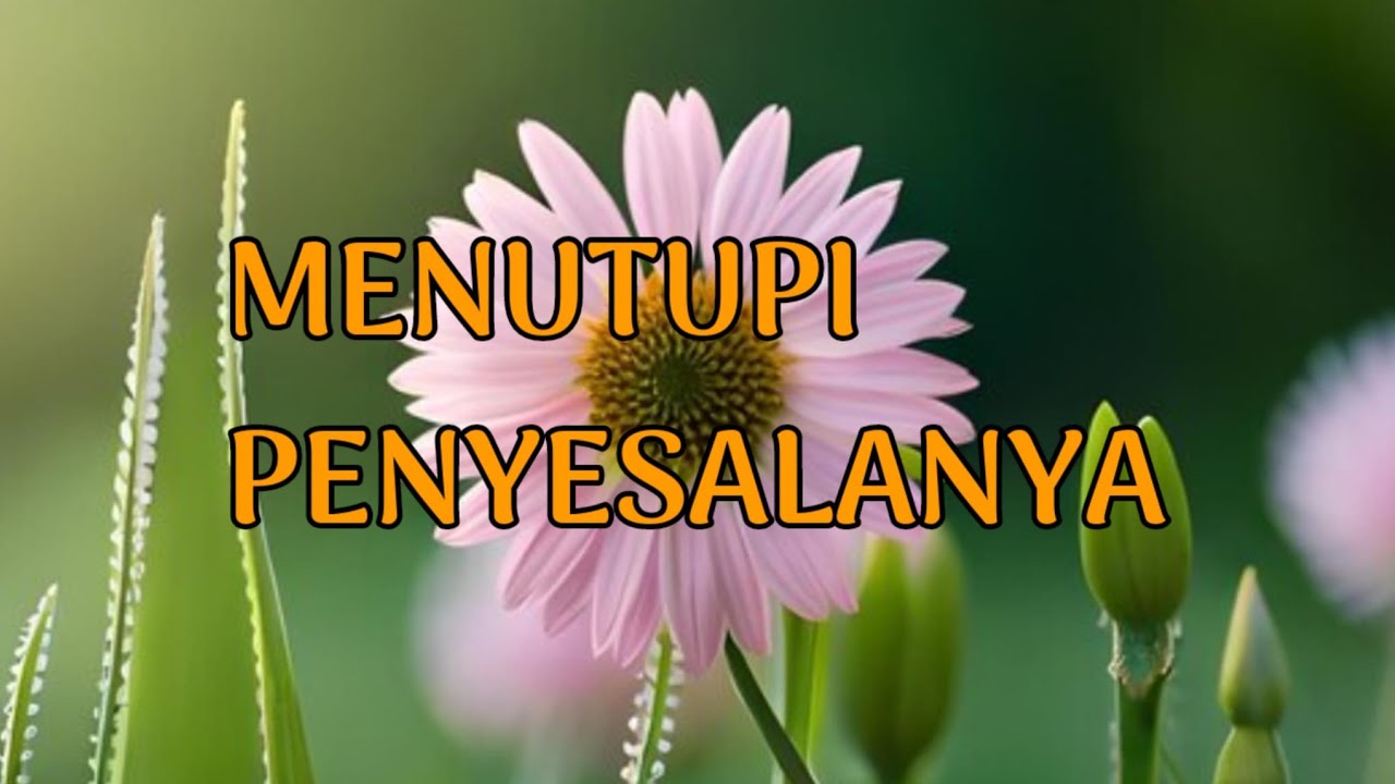 🎆 MENUTUPI PENYESALANYA 🎆 