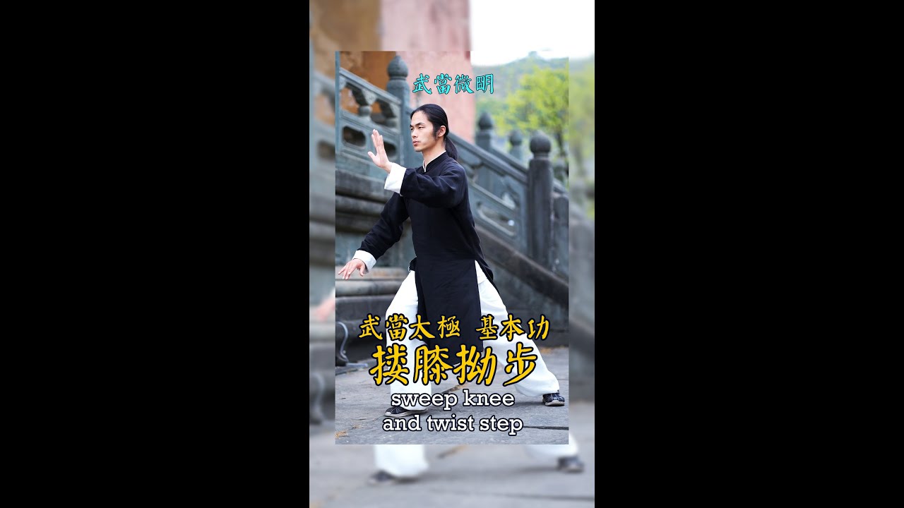 摟膝抝步  太極拳基本功  Tai chi Tutorial.(sweep knee and twist step)