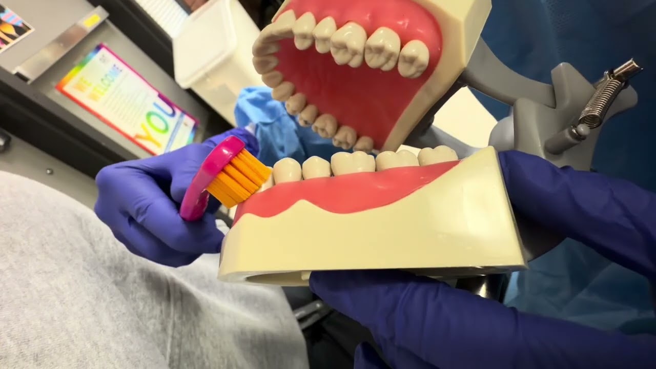 Demonstration of Bass Technique (SKILLSUSA Dental Assisting)