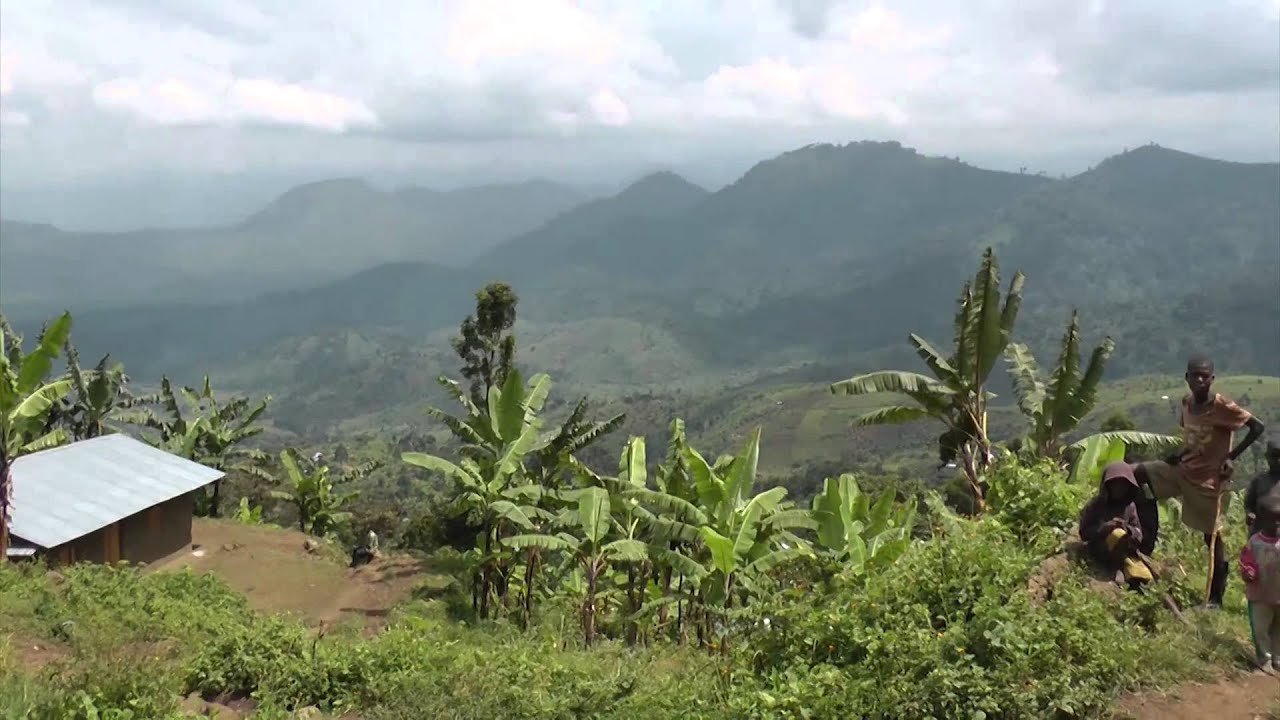 Goat Fodder and Agroforestry - JOY Goat Development Programme