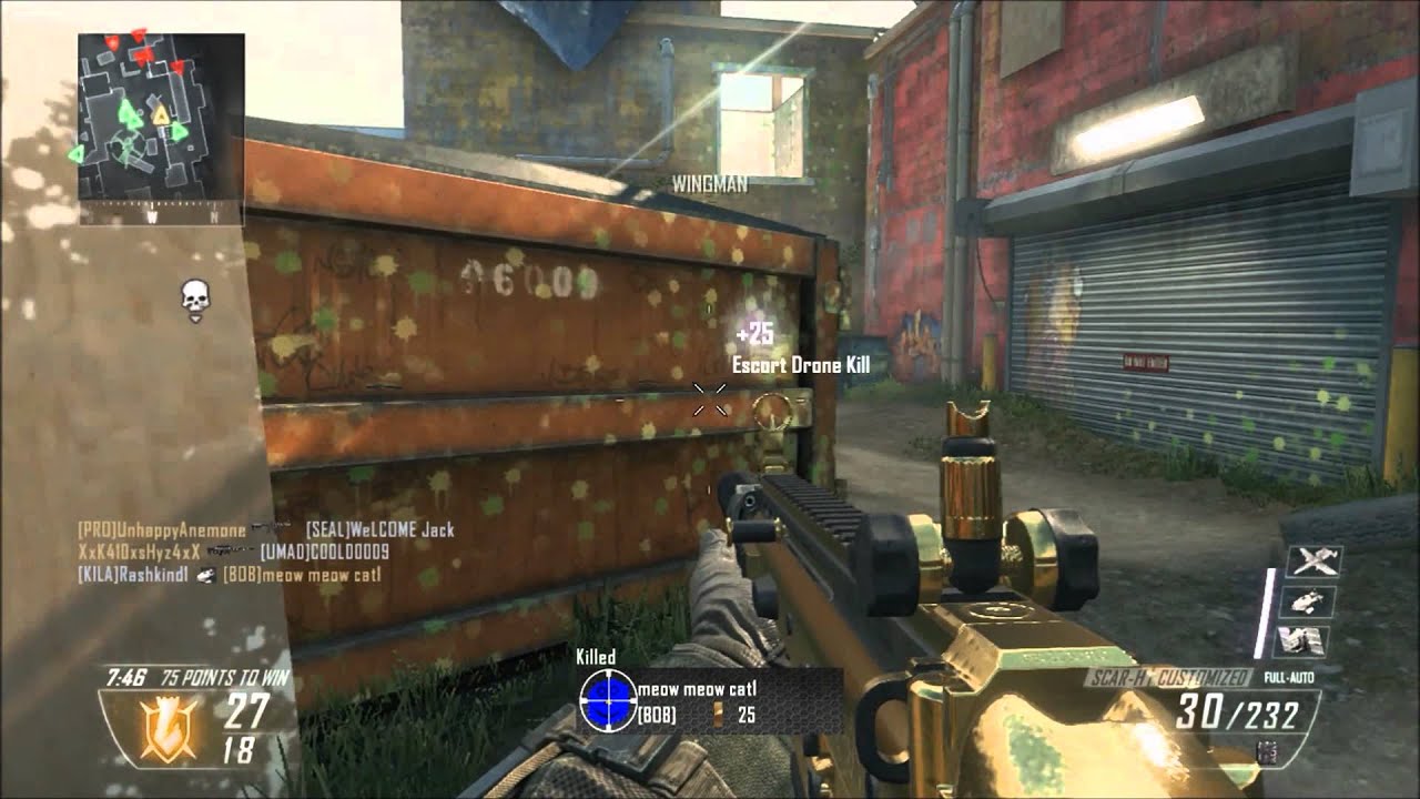 BLACK OPS 2 MULTIPLAYER TDM - My air support putting in work Rush 36-3