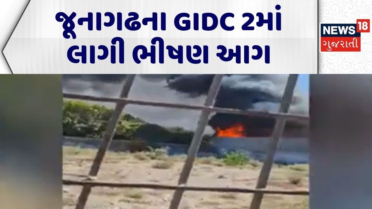 Junagadh Fire News | જૂનાગઢના GIDC 2માં લાગી ભીષણ આગ | Fire Incident | Fire Breakout | Gujarati News