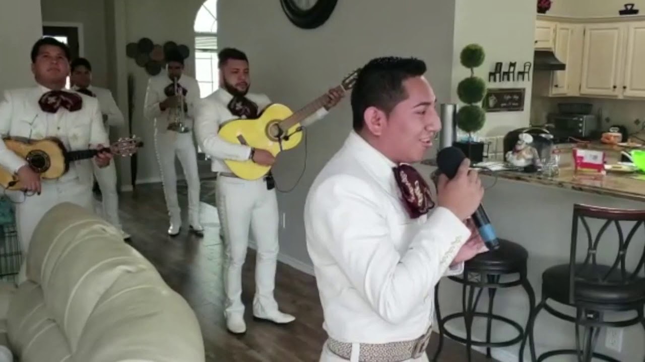 Te he Prometido/ Cover / Leo Dan / Mariachi Fiesta / El Mejor Mariachi de Dallas / info: 4692308360